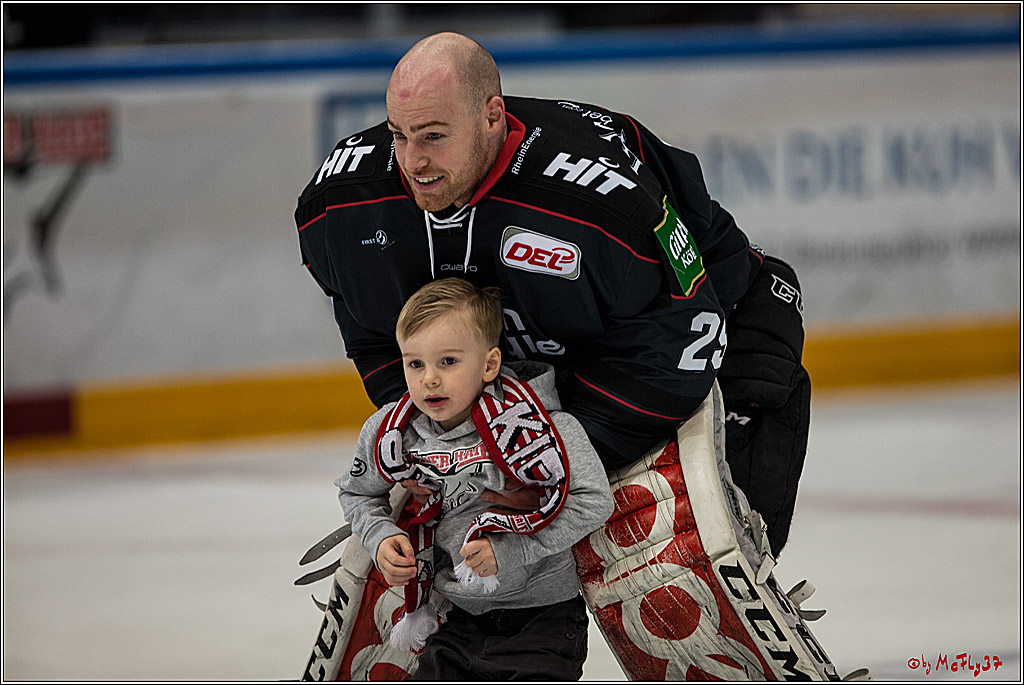 DEL, Koelner Haie - Fishtown Pinguins Bremerhaven, 29.01.2017